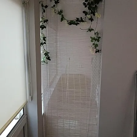 Progreso Marketloft 24 *